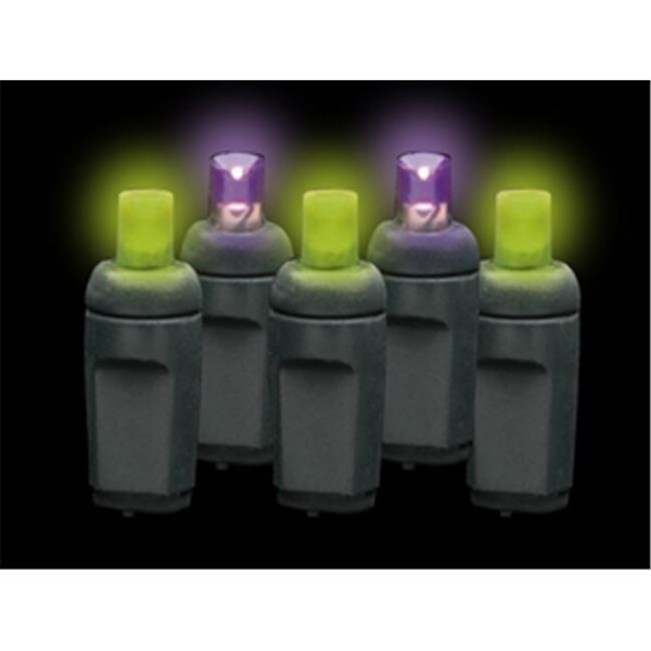 Reinders Reinders 5MM50PL-F Premium Grade 5MM 50 LED Purple/Lime Frost Holiday Lights String with Black Wire 5MM50PL-F - main